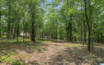 /international/us/3420-primm-lane-lot-1-hoover-al-110107456143/