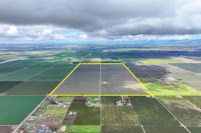 /international/us/22198-road-180-lindsay-ca-110098271662/
