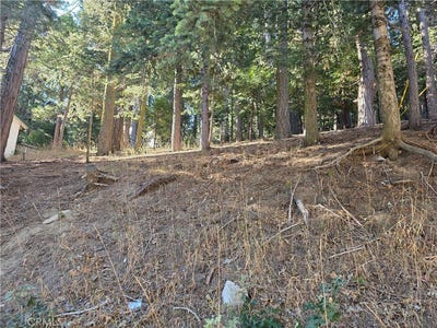 /international/us/altdorf-crestline-ca-110110300217/
