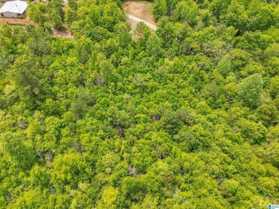 /international/us/moreland-road-lot-1-brierfield-al-110107627690/