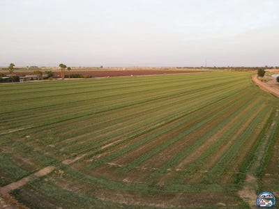/international/us/0-hovley-rd-hwy-111-brawley-ca-110100152077/