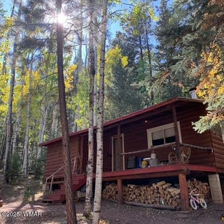 /international/us/8-county-road-1006-greer-az-110099688548/