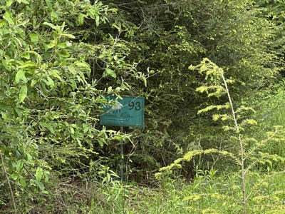 /international/us/gondola-court-lot-92-and-93-davis-wv-110108449057/