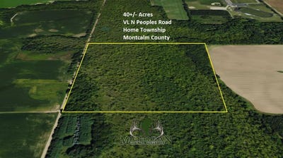 /international/us/vl-peoples-road-edmore-mi-110100128246/