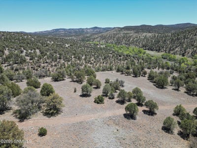 /international/us/lot4a-highway-35-mimbres-nm-110107909721/