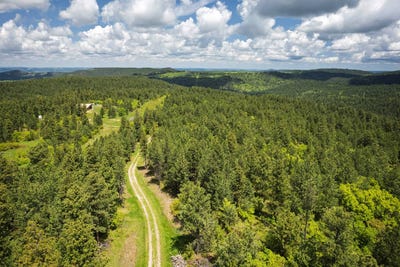 /international/us/336-middle-fork-rd-devils-tower-wy-110100341191/