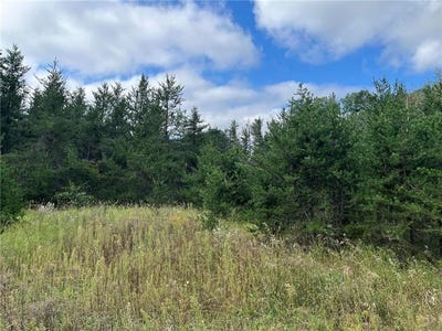 /international/us/1707-hassman-hill-tract-d-road-sw-pine-river-mn-110098352778/