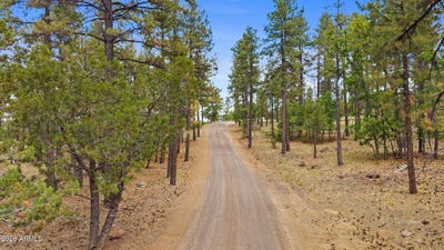 /international/us/1628-canyon-view-loop-williams-az-110108540142/