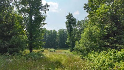 /international/us/3-38-acres-county-f-road-antigo-wi-110101294211/?lang=zh-tw
