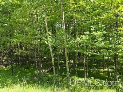 /international/us/tbd-quinnesec-lake-antoine-iron-mountain-mi-110101116841/?lang=zh-tw