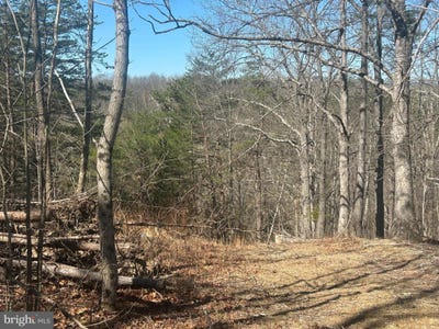 /international/us/andrews-road-strasburg-va-110108887303/