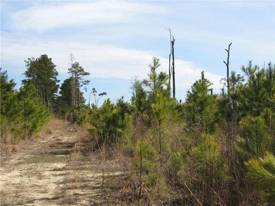 /international/us/4161-caratoke-hwy-barco-nc-110107819609/