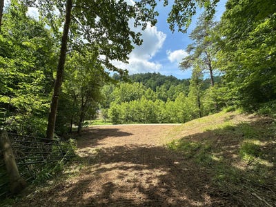 /international/us/24a-fields-branch-road-grayson-grayson-ky-110100868139/