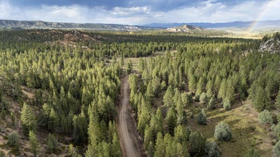 /international/us/elk-ridge-estates-lot-10-phase-6-alton-ut-110110256595/