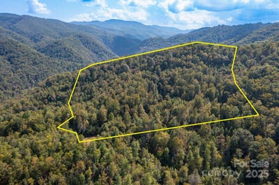 /international/us/999-nc-209-highway-hot-springs-nc-110102467107/