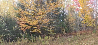 /international/us/murray-road-lot-27-thorndike-me-110120575506/