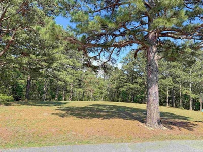 /international/us/tournament-dr-lot-27-28-mountain-view-ar-110120686550/