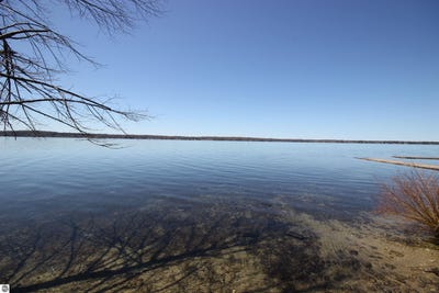 /international/us/00-maple-view-drive-central-lake-mi-110107809736/
