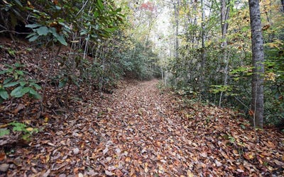 /international/us/tbd-mclean-road-andrews-nc-110098851465/?lang=zh-tw