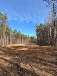 /international/us/county-road-311-calhoun-city-ms-110104855655/