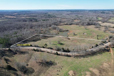 /international/us/349-hwy-potts-camp-ms-110104877124/