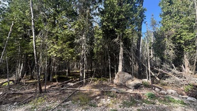 /international/us/tbd-shiawassee-trl-lot-128-hessel-mi-110110351823/