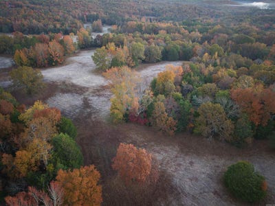 /international/us/black-hill-road-bee-branch-ar-110103375672/