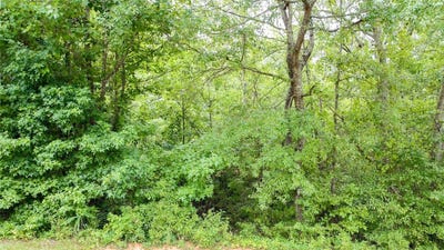 /international/us/country-glen-lane-pelzer-sc-110101118880/?lang=zh-tw