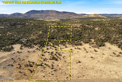 /international/us/21-county-rd-n2174-nutrioso-az-110096889800/