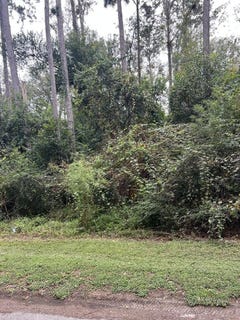/international/us/reynolds-ave-broxton-ga-110120456423/
