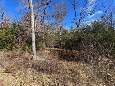 /international/us/0-rue-riviera-bonne-terre-mo-110088189997/