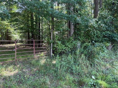 /international/us/37-39-field-trial-road-lancaster-va-110110296002/