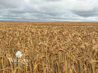 /international/us/drummond-area-drummond-ok-110108569202/