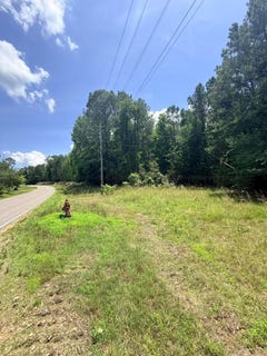 /international/us/county-road-49-beaverton-al-110108492938/