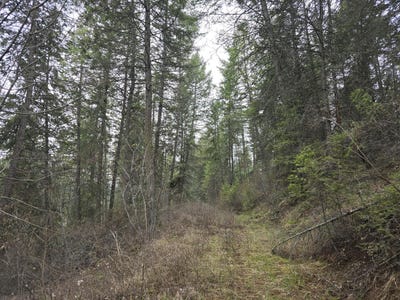 /international/us/tbd-vanesse-rd-kettle-falls-wa-110091047173/