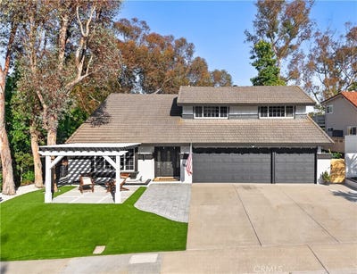 /international/us/23752-lagarto-mission-viejo-ca-110107957761/
