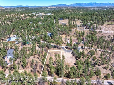 /international/us/215-brentwood-drive-alto-nm-110107418197/