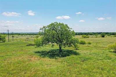 /international/us/55-06-acres-281-highway-jacksboro-tx-110106155132/