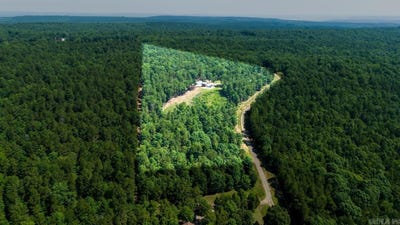 /international/us/40220-reece-creek-rd-bigelow-ar-110108239999/
