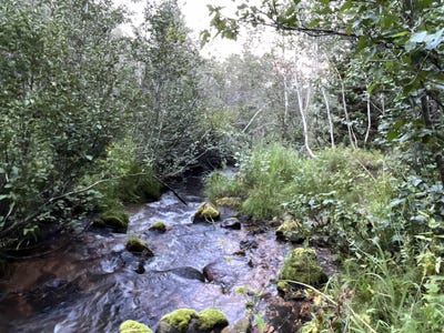 /international/us/001-skinner-canyon-road-montpelier-id-110107608700/