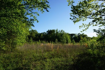 /international/us/6902-stella-street-murchison-tx-110107487185/