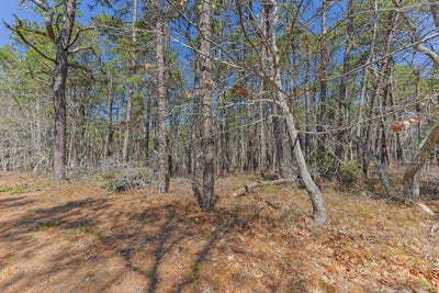 /international/us/175-delphi-path-wellfleet-ma-110107344537/