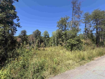 /international/us/349-wooden-bridge-rd-chesnee-sc-110110361948/