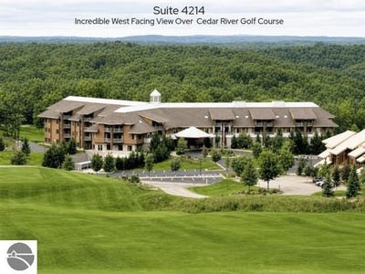 /international/us/2400-troon-south-bellaire-mi-110104851705/