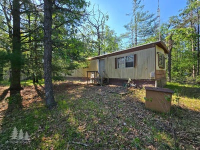 /international/us/3229-nesslewood-drive-lewiston-mi-110100677512/
