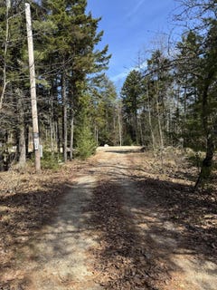 /international/us/539-sedgwick-ridge-road-sedgwick-me-110103652808/