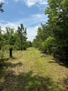 /international/us/459-county-road-2006-e-bunnell-fl-110107956176/
