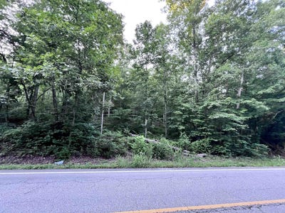/international/us/hwy-438-lot-1-lobelville-tn-110107784402/