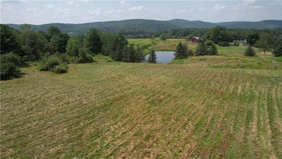 /international/us/0-state-highway-28-otsego-ny-110099483116/?lang=en
