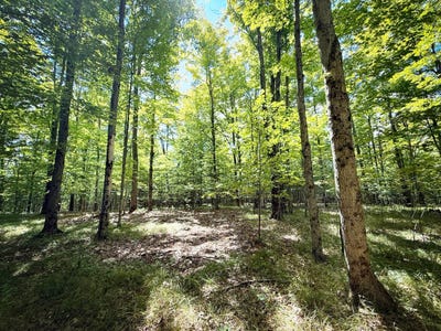 /international/us/0-cornell-hollow-road-n-o-owego-ny-110102201019/